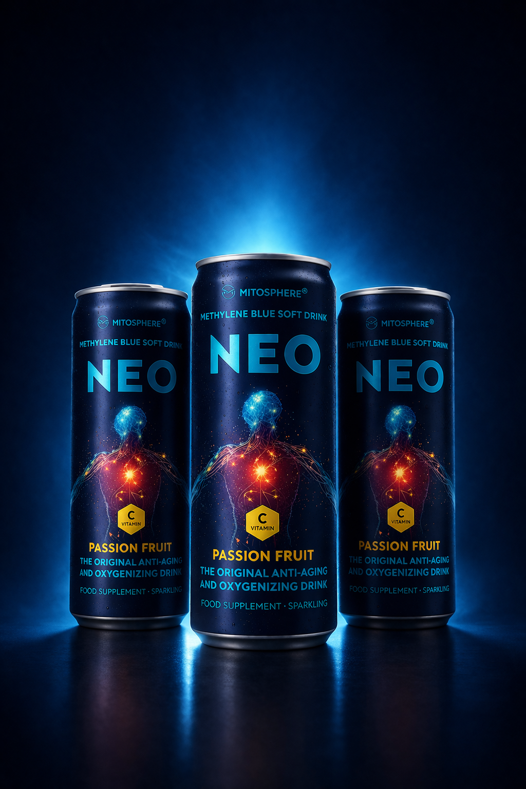 Neo Methylene Blue Getränk (12 x 250 ml Dosen)